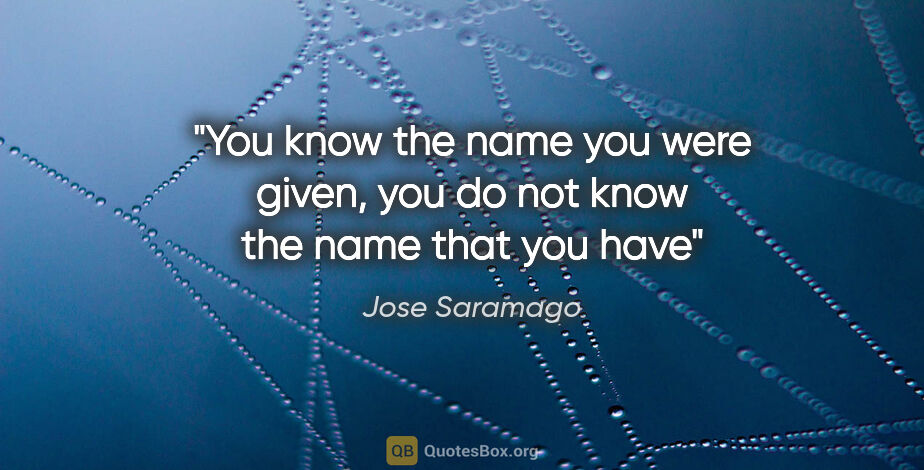 Jose Saramago quote: "You know the name you were given, you do not know the name..."