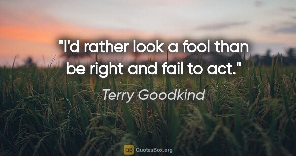 Terry Goodkind quote: "I'd rather look a fool than be right and fail to act."