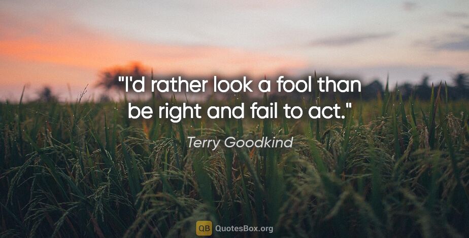 Terry Goodkind quote: "I'd rather look a fool than be right and fail to act."