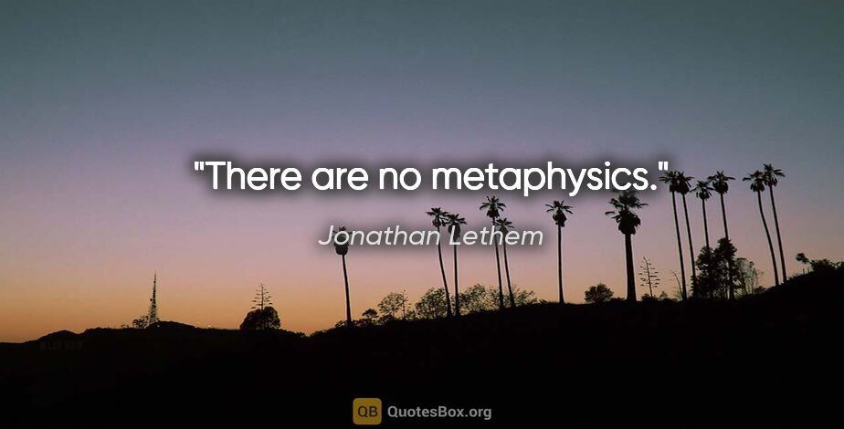 Jonathan Lethem quote: "There are no metaphysics."