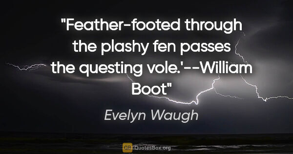 Evelyn Waugh quote: "Feather-footed through the plashy fen passes the questing..."