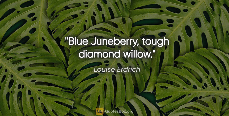 Louise Erdrich quote: "Blue Juneberry, tough diamond willow."