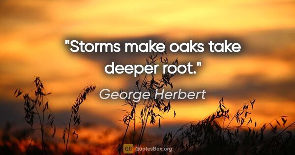 George Herbert quote: "Storms make oaks take deeper root."