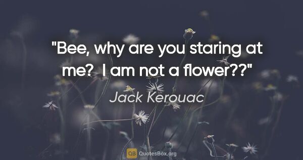 Jack Kerouac quote: "Bee, why are you staring at me?  I am not a flower??"