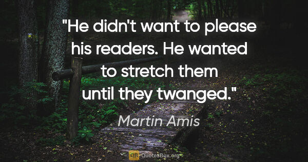 Martin Amis quote: "He didn't want to please his readers. He wanted to stretch..."