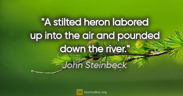 John Steinbeck quote: "A stilted heron labored up into the air and pounded down the..."