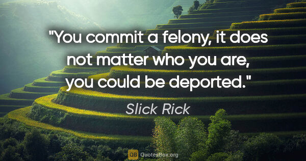 Slick Rick quote: "You commit a felony, it does not matter who you are, you could..."