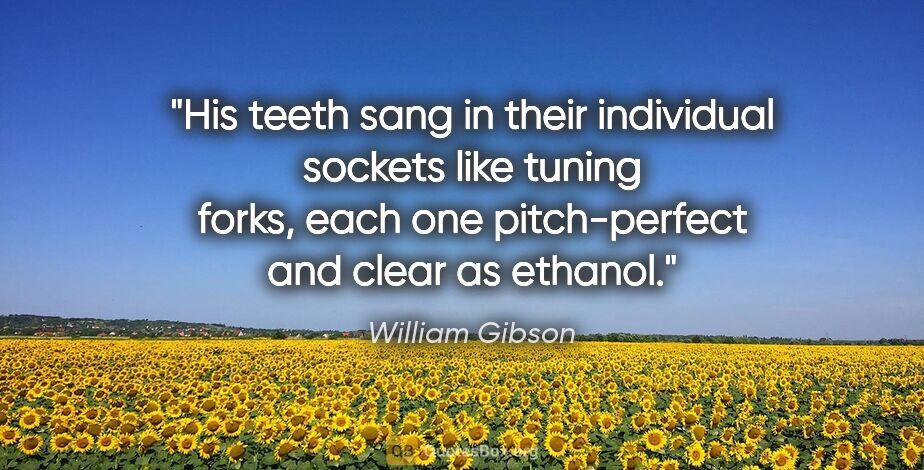 William Gibson quote: "His teeth sang in their individual sockets like tuning forks,..."