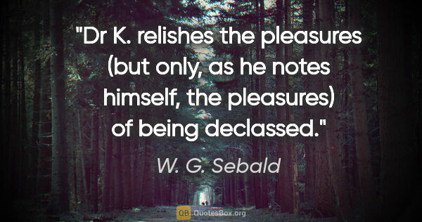 W. G. Sebald quote: "Dr K. relishes the pleasures (but only, as he notes himself,..."