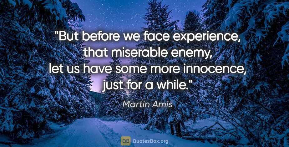 Martin Amis quote: "But before we face experience, that miserable enemy, let us..."