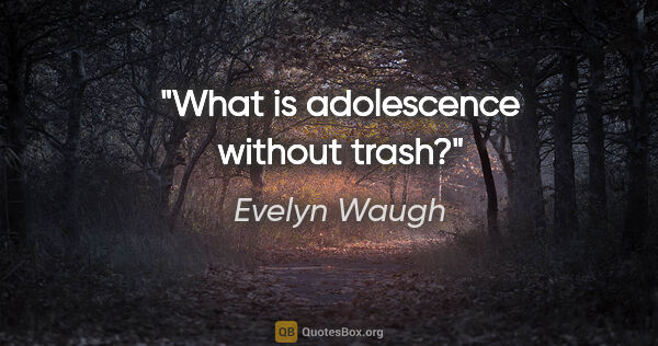 Evelyn Waugh quote: "What is adolescence without trash?"