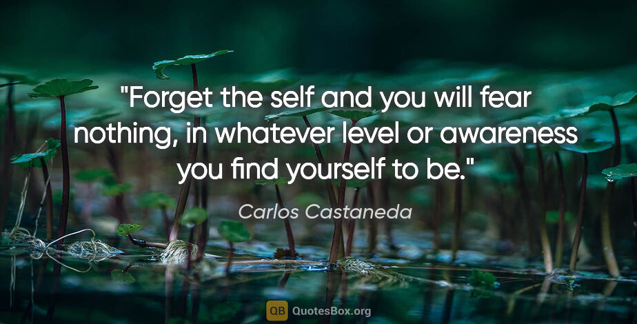 Carlos Castaneda quote: "Forget the self and you will fear nothing, in whatever level..."