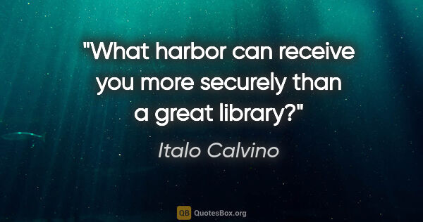 Italo Calvino quote: "What harbor can receive you more securely than a great library?"