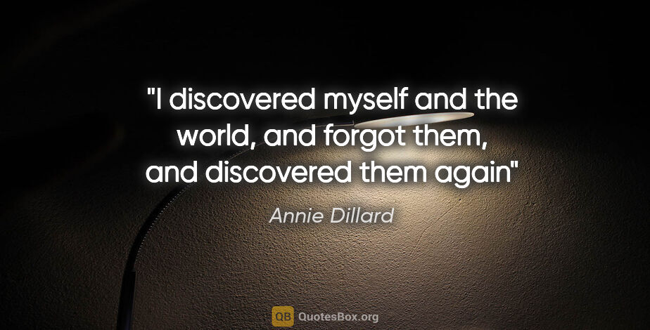 Annie Dillard quote: "I discovered myself and the world, and forgot them, and..."