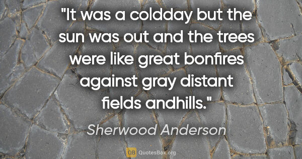 Sherwood Anderson quote: "It was a coldday but the sun was out and the trees were like..."