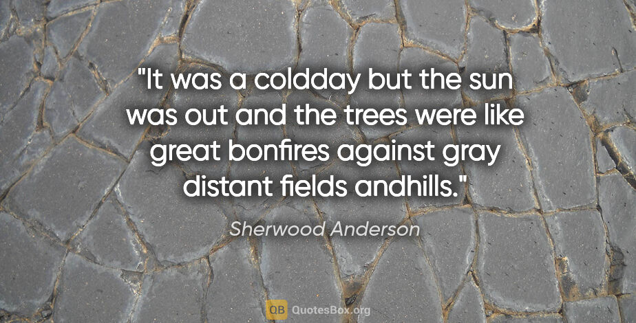 Sherwood Anderson quote: "It was a coldday but the sun was out and the trees were like..."