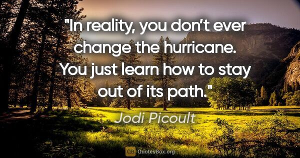 Jodi Picoult quote: "In reality, you don’t ever change the hurricane. You just..."