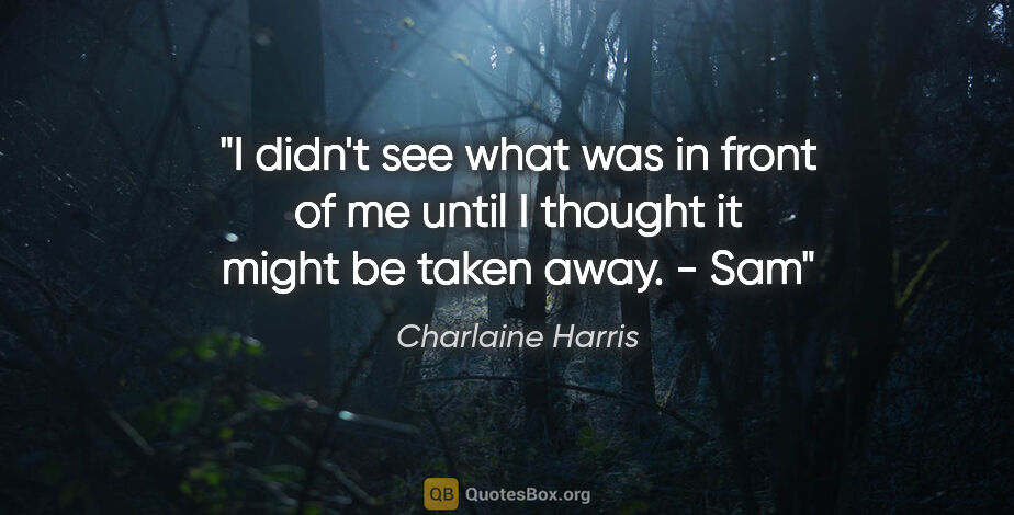 Charlaine Harris quote: "I didn't see what was in front of me until I thought it might..."