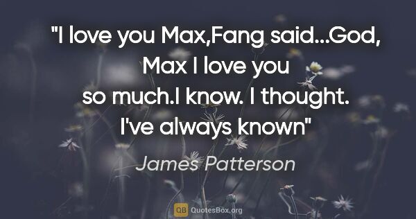 James Patterson quote: "I love you Max,"Fang said..."God, Max I love you so much."I..."