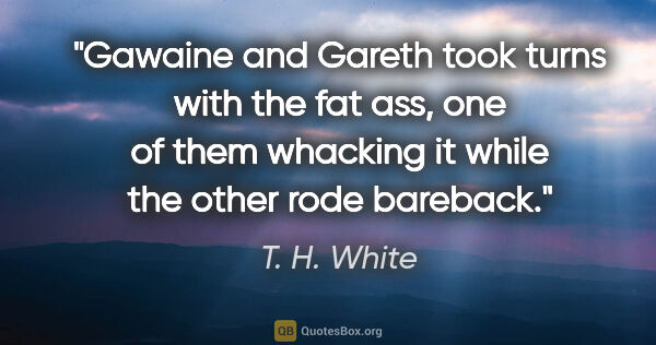 T. H. White quote: "Gawaine and Gareth took turns with the fat ass, one of them..."