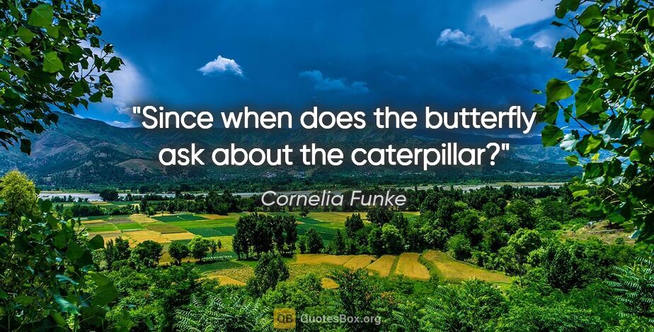 Cornelia Funke quote: "Since when does the butterfly ask about the caterpillar?"