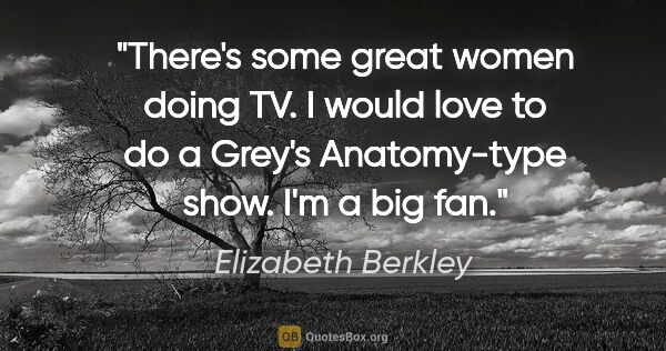Elizabeth Berkley quote: "There's some great women doing TV. I would love to do a Grey's..."