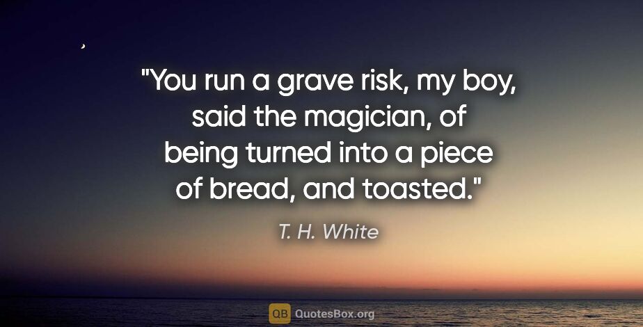 T. H. White quote: "You run a grave risk, my boy," said the magician, "of being..."