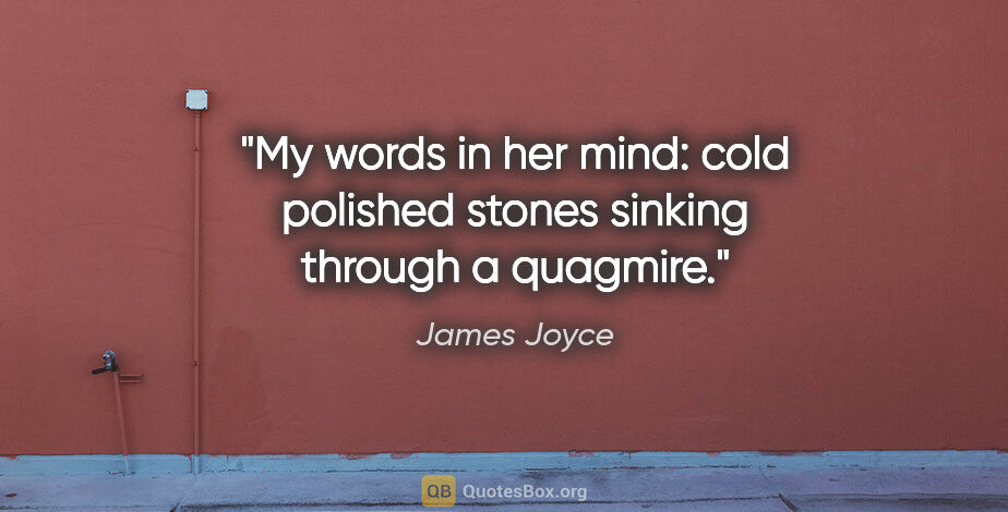 James Joyce quote: "My words in her mind: cold polished stones sinking through a..."