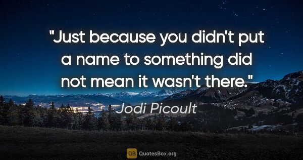 Jodi Picoult quote: "Just because you didn't put a name to something did not mean..."