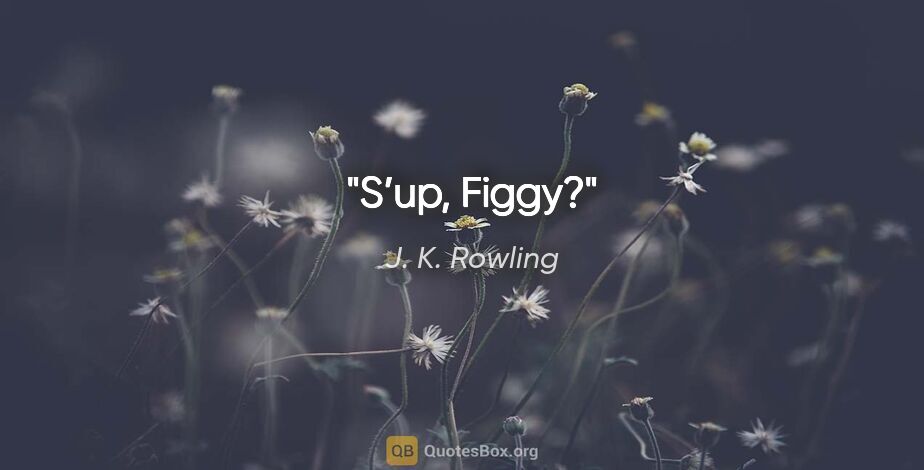 J. K. Rowling quote: "S’up, Figgy?"