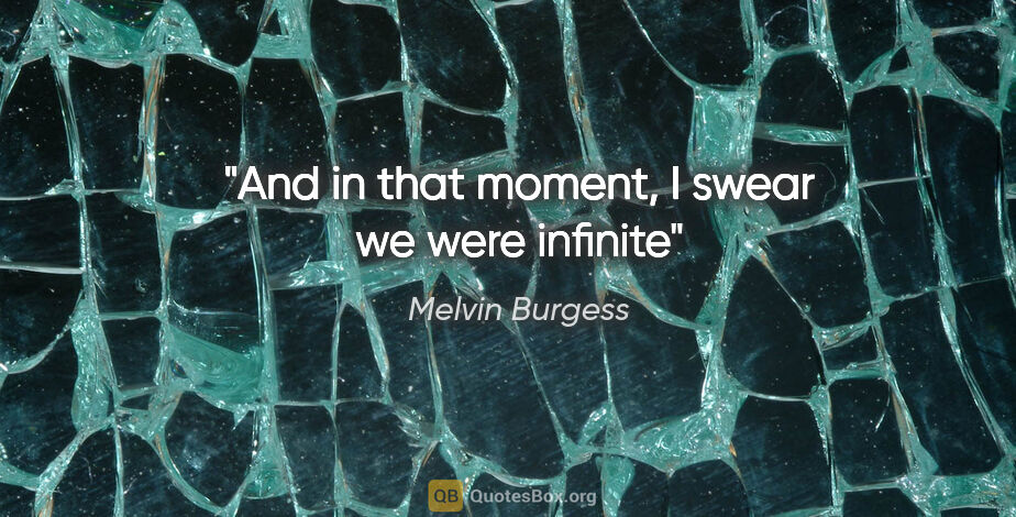 Melvin Burgess quote: "And in that moment, I swear we were infinite"