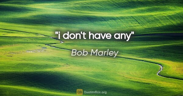 Bob Marley quote: "i don't have any"