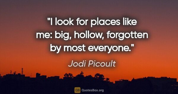 Jodi Picoult quote: "I look for places like me: big, hollow, forgotten by most..."