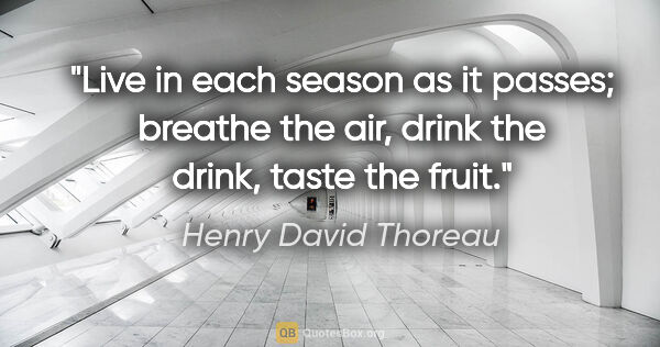 Henry David Thoreau quote: "Live in each season as it passes; breathe the air, drink the..."