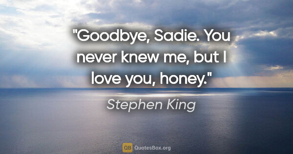 Stephen King quote: "Goodbye, Sadie. You never knew me, but I love you, honey."