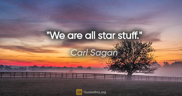 Carl Sagan quote: "We are all star stuff."