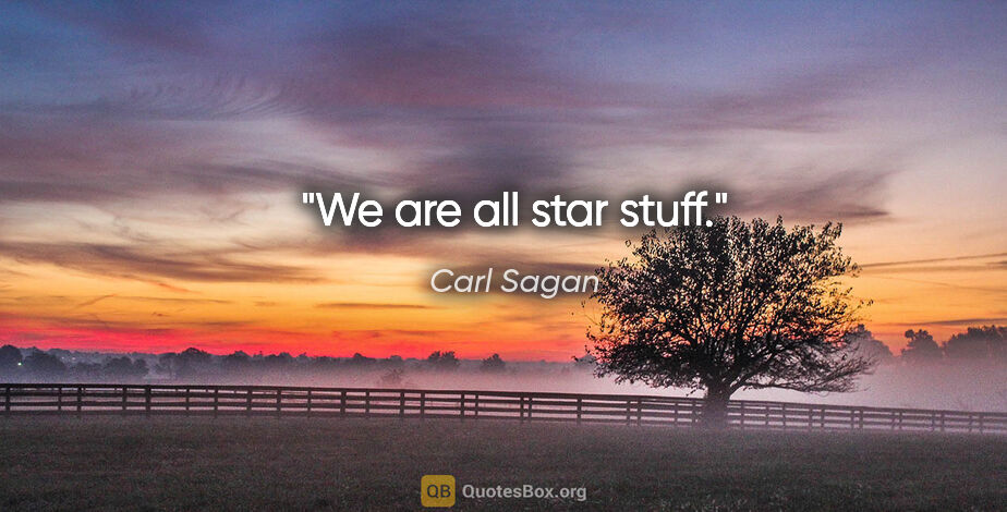 Carl Sagan quote: "We are all star stuff."