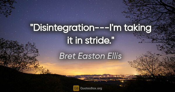 Bret Easton Ellis quote: "Disintegration---I'm taking it in stride."