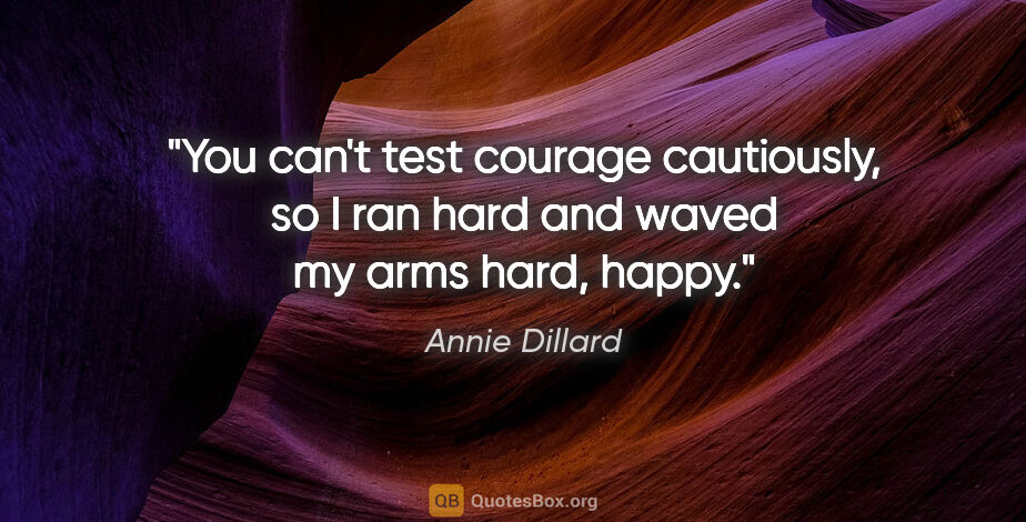 Annie Dillard quote: "You can't test courage cautiously, so I ran hard and waved my..."