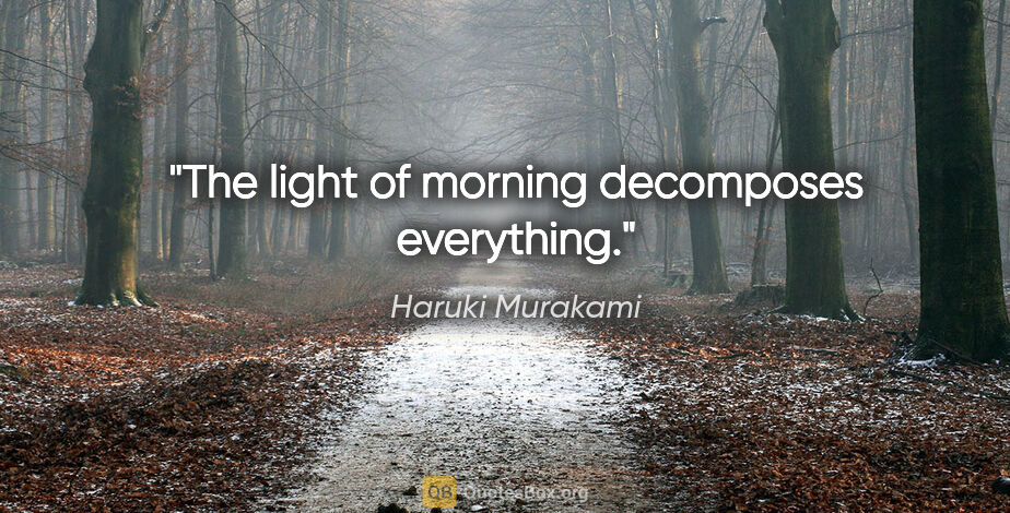 Haruki Murakami quote: "The light of morning decomposes everything."