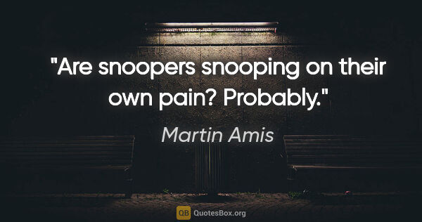 Martin Amis quote: "Are snoopers snooping on their own pain? Probably."