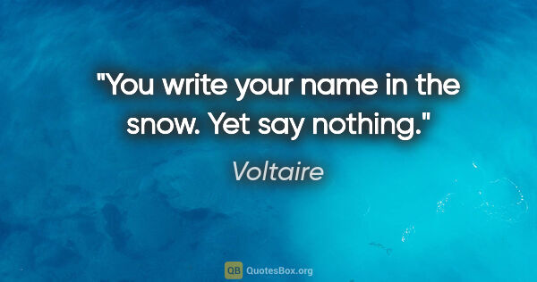 Voltaire quote: "You write your name in the snow. Yet say nothing."