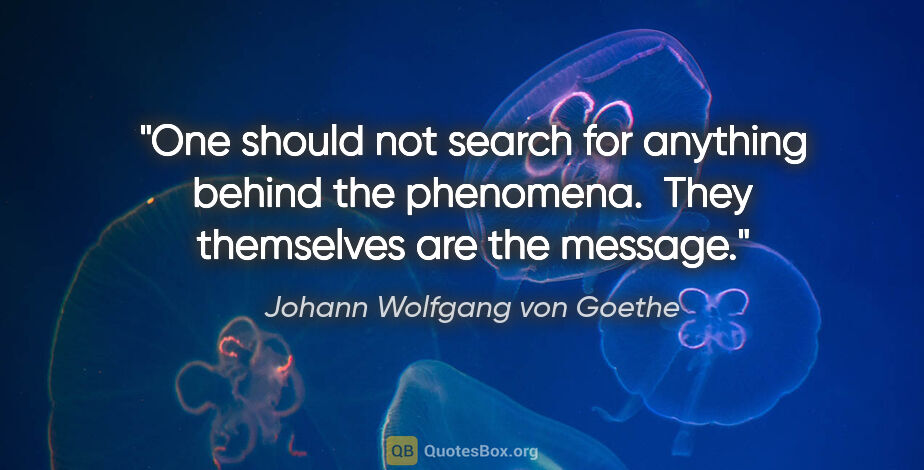 Johann Wolfgang von Goethe quote: "One should not search for anything behind the phenomena.  They..."
