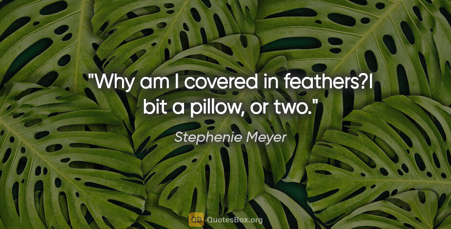 Stephenie Meyer quote: "Why am I covered in feathers?"I bit a pillow, or two."