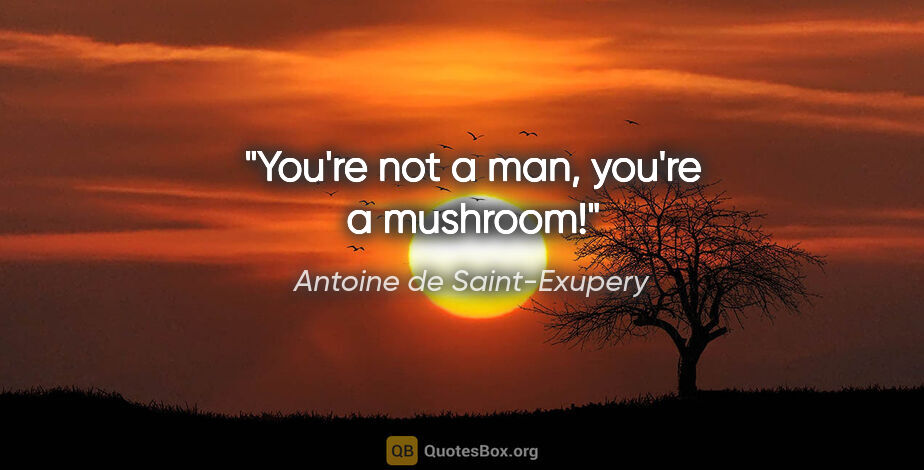 Antoine de Saint-Exupery quote: "You're not a man, you're a mushroom!"