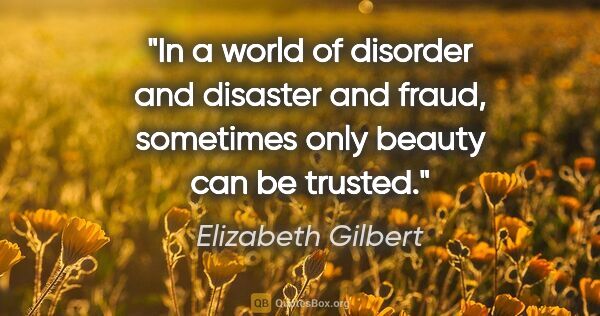 Elizabeth Gilbert quote: "In a world of disorder and disaster and fraud, sometimes only..."