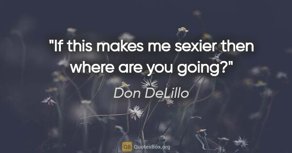 Don DeLillo quote: "If this makes me sexier then where are you going?"