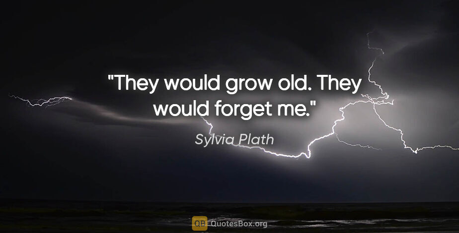 Sylvia Plath quote: "They would grow old. They would forget me."