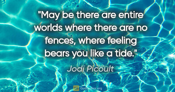 Jodi Picoult quote: "May be there are entire worlds where there are no fences,..."