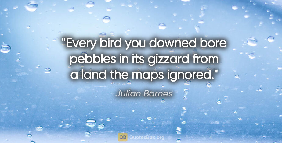 Julian Barnes quote: "Every bird you downed bore pebbles in its gizzard from a land..."